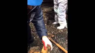 Misaskim Sifting Through Rubble At New Brunswick Shul For Burnt Sifrei Torah